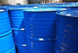 Hydroxyethyl methacrylate (HEMA)